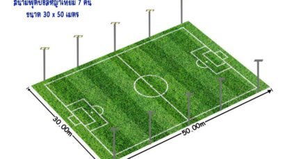 สนามฟุตบอลหญ้าเทียม 7 คน