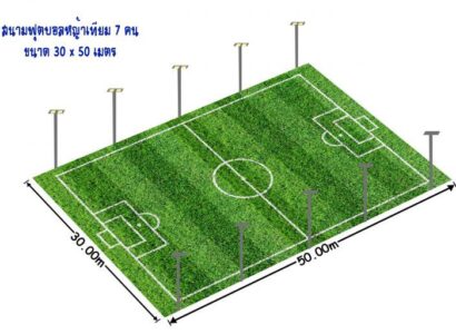 สนามฟุตบอลหญ้าเทียม 7 คน