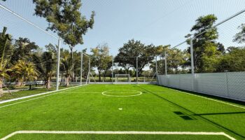 สนามฟุตบอลหญ้าเทียมในบ้าน